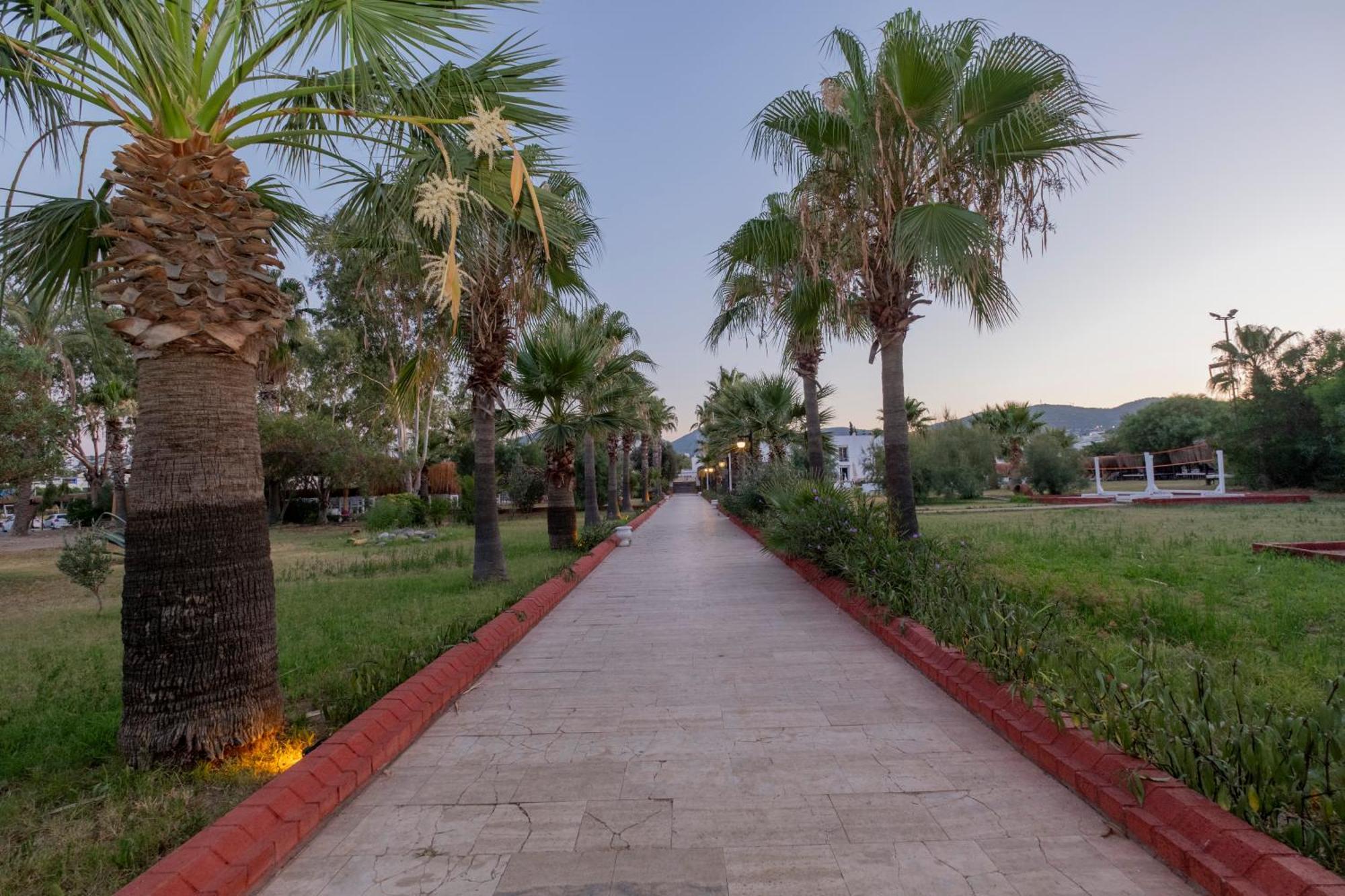 Ladonia Hotels Del Mare (Adults Only) グムベット エクステリア 写真